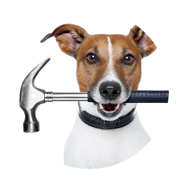 dog with a hammer