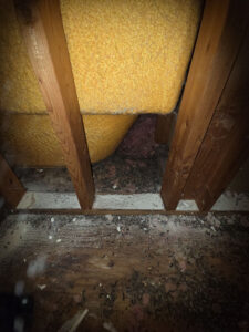 bathroom remodel demo in Vista CA