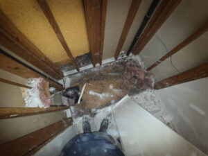 demolition of bathroom in remodel in Vista CA