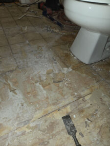 Floor Demo in Bath Remodel in Vista California