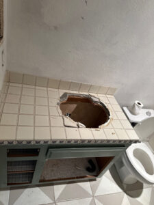 demo-work-before-remodel-in-vista