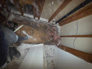 Bathtub removal Vista California