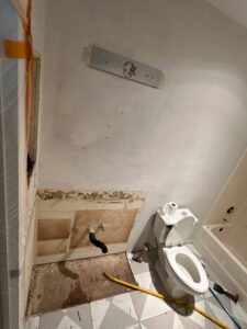bathroom demolition prior to remodel in Vista CA