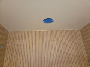 bathroom remodel in vista ca